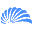 information