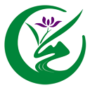 语文网 | 更经典  更权威