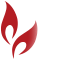 绽放工场-专注政企信息化系统开发服务
