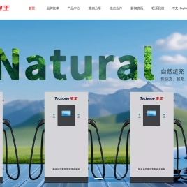充电桩源头厂家-自然超充-深圳市电王科技有限公司