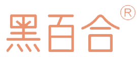Lintong Website Construction Company