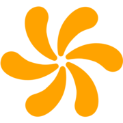 system