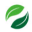 Making a website in Zhengzhou _Mini Program Development _Please enter keywords to search 
