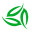 相关推荐