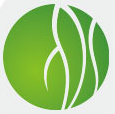 Wuhan,  ARM  Baidu 