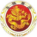 龙腾财务代理