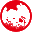 Weight _report _Test 