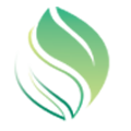 Query and inclusion |Site |VOCs  Popularity ranking |Legal Services 