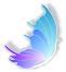 front page  IT  Weight:  D  information 
