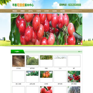 山楂苗，山楂树苗，旺佳佳山楂苗木基地_山楂苗，山楂树苗，旺佳佳山楂苗木基地