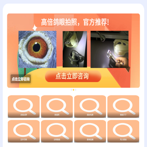 查鸽天下-信鸽足环号查询-查鸽网