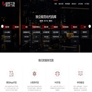 绽放工场-专注政企信息化系统开发服务