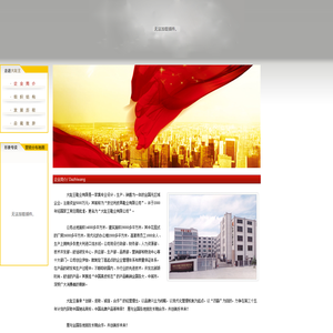 温州市大趾王鞋业有限公司