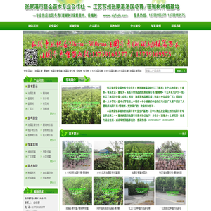 江苏苏州张家港法国冬青/珊瑚树种植基地_法国冬青价格_香橼树_法国冬青绿篱_法国冬青基地