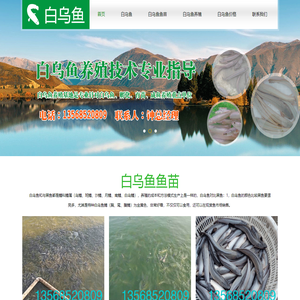 白乌鱼_白乌鱼鱼苗_白乌鱼养殖批发价格联系：13568520809
