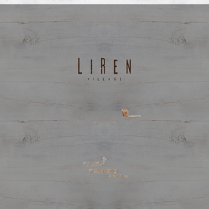 LIREN VILLAGE 【  Price of aluminum veneer 