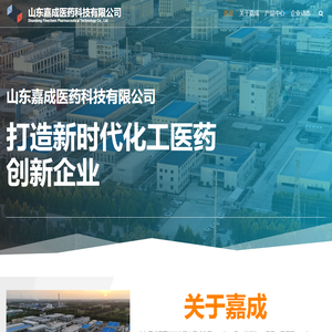 山东嘉成医药科技有限公司 – Shandong Finechem Pharmaceutical Technology Co., Ltd.