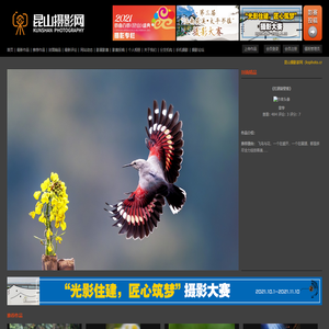 昆山摄影网