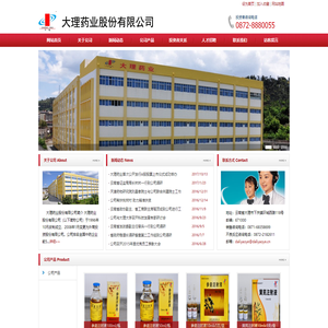 大理药业股份有限公司