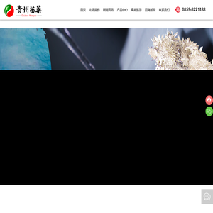 贵州苗药药业有限公司_国药准字_医疗产品_安全防护