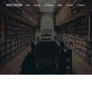 Web Design Company in New York