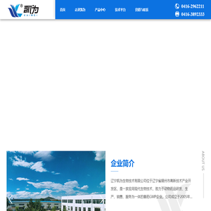 Taiwan Silicon