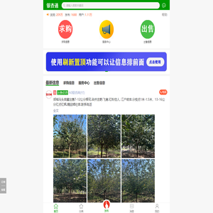买树卖树,就上银杏通