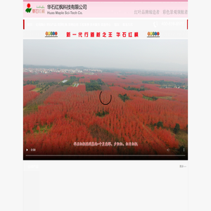 美国红枫,十月光辉,夕阳红,红冠红枫,红点红枫,美国红枫组培苗,美国红枫价格,美国红枫专家-【华石红枫】-www.hql8.com