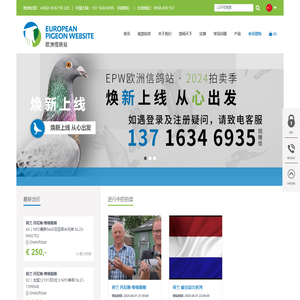 European Pigeon Website