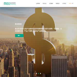 misa consulting