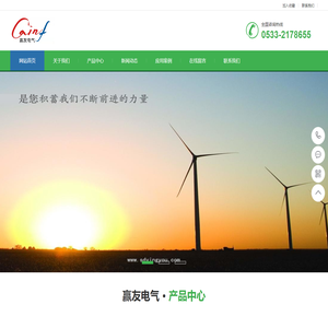 山东赢友电气有限公司