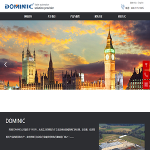 DOMINIC：关于我们