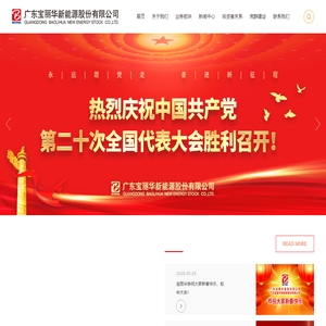 广东宝丽华新能源股份有限公司