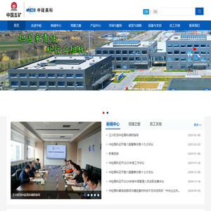 首页 - 洛阳中硅高科技有限公司