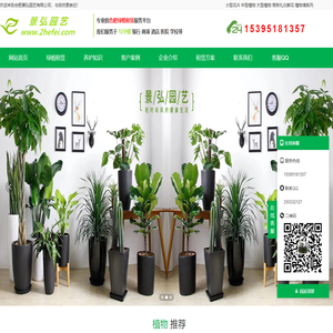 合肥办公室绿植租赁_花卉租摆出租【专业上门养护】-景弘园艺公司