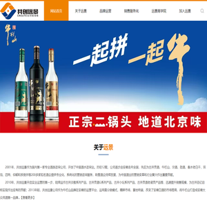 安徽共创远景控股有限公司