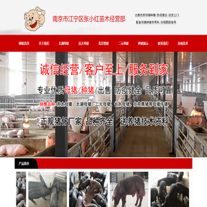 南京市江宁区张小红苗木经营部
