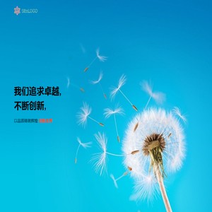 菜菜网络