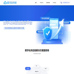 星河云科技/供应链管理系统