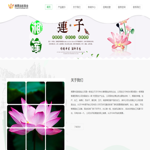 湘潭远航莲业有限公司