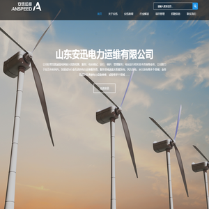 山东安迅电力运维有限公司