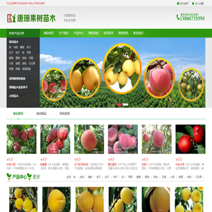 果树苗多个品种_桃树苗_梨树苗_杏树苗等_唐姗果树种植专业合作社