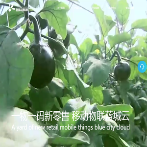 新零售系统解决方案,服务热线：022-82939965,溯源管理软件-二维码溯源软件-二维码防伪-系统