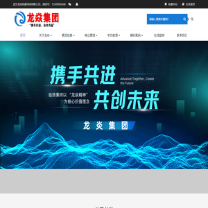 龙焱集团