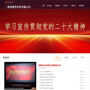 陕西盛华冶化有限公司-陕西盛华冶化有限公司