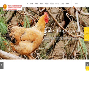 广西富凤农牧集团_畜禽养殖_禽苗孵化_饲料生产