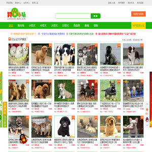 狗市场网—买狗卖狗看狗选狗来狗市场！