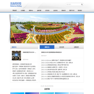 东莞市滨海湾新区控股有限公司