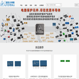 深圳市优恩半导体有限公司
