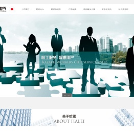 网站首页 - 智能电容器|无功补偿|谐波抑制----山东哈雷电力科技有限公司